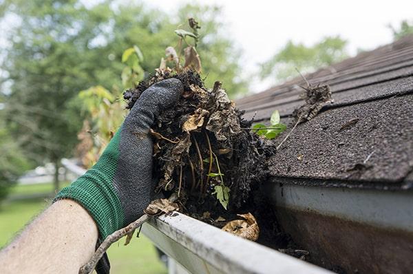 gutter cleaning prevents clogs, water damage, and mold growth